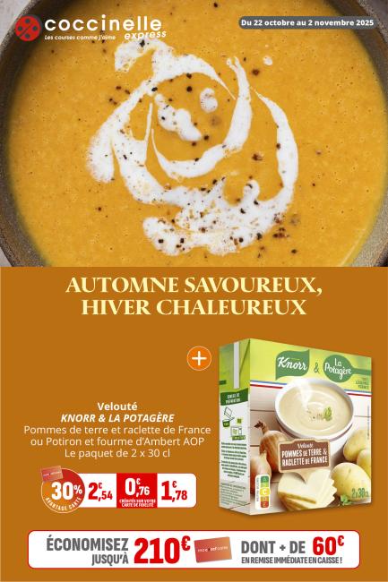 Coccinelle Express-2518C.jpg