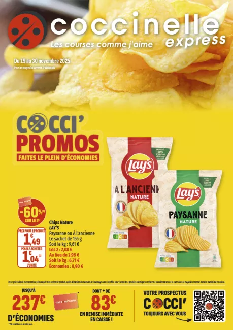 2520-EXPRESS SEGU-A4-12P.png