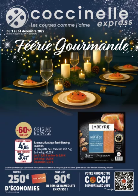 2521-EXPRESS CODI-A4-12P