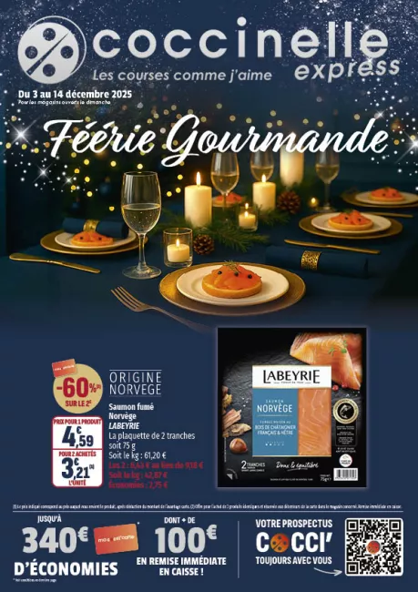 2521-EXPRESS SEGU-A4-12P