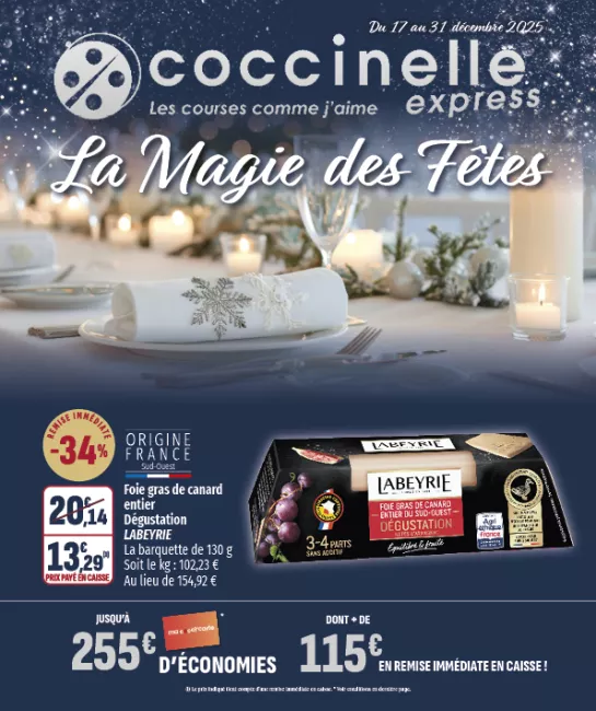 2522-EXPRESS CODI-A4-12P.png