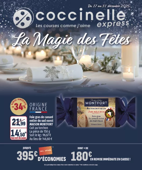 2522-EXPRESS SEGU-210x250-p1a13-20P.png