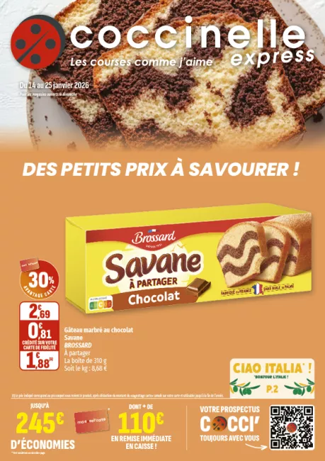 2602-EXPRESS SEGU-A4-12P.png