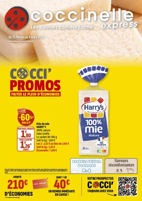 2605-EXPRESS SEGU-A4-12P.png