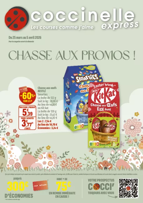 2607-EXPRESS SEGU-A4-12P.png