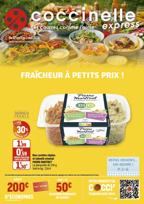  Nom 2609-EXPRESS SEGU-A4-12P.png