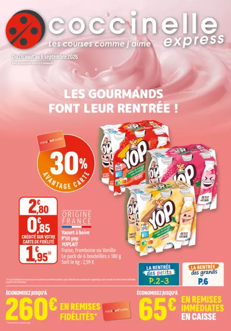 2614-EXPRESS SEGU-A4-12P (2).png