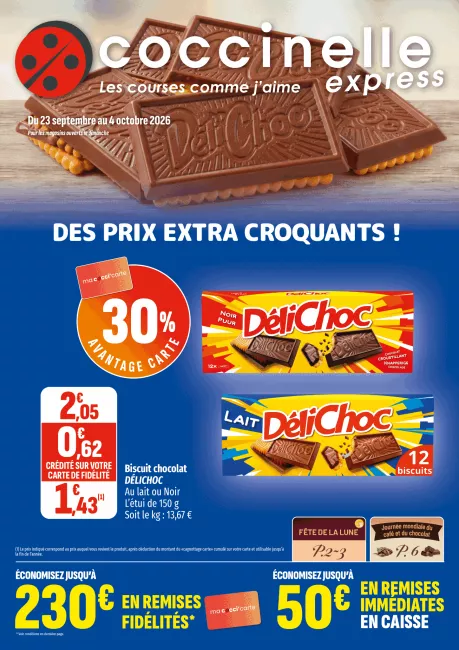 2616-EXPRESS-SEGU-A4-12P.png